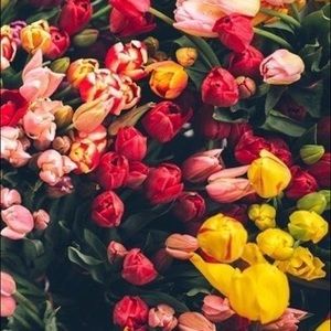 • j u s t   l o v e l y •